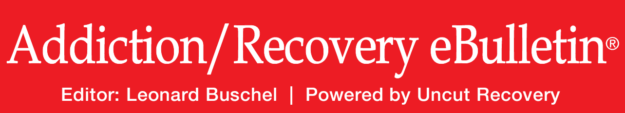 The Addiction/Recovery eBulletin Celebrates 13 Years of Continuous Publication and Its New Ownership