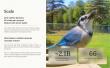 Birdfy Surpasses One Million Devices Sold as New Report Reveals 66 Bird Identifications Every Second