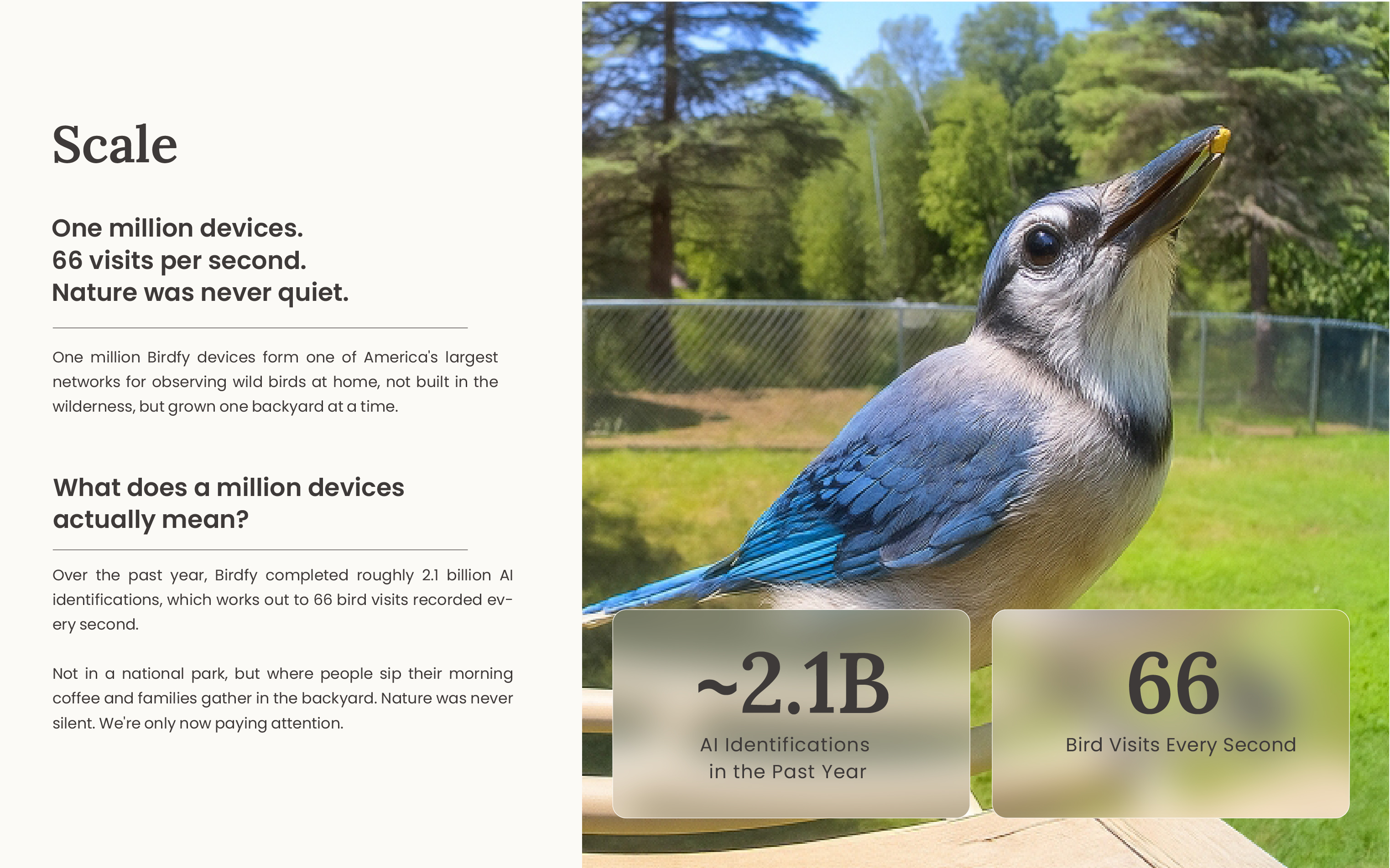 Birdfy Surpasses One Million Devices Sold as New Report Reveals 66 Bird Identifications Every Second