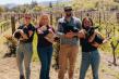 Napa Green Awarded $3 Million Grant to Fund Regenerative Farming 