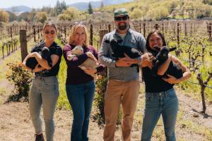 Napa Green Team with lambs