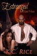 Estranged: Blood Moon Unleashes Forbidden Love, Vampire Royalty, and a Dangerous Hidden Legacy