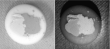 Researchers create new colour-changing material—could be used in anti-counterfeit markings on banknotes and passports