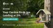 Birdfy Debuts at IFA 2026 With Expanding Smart Birding Portfolio