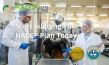 Online Food Safety Courses That That Teach Food Safety Plan and HACCP Plan Development