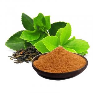 Green Tea Extract