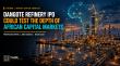 Dangote Refinery IPO Could Test the Depth of African Capital Markets