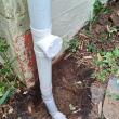 Melbourne Homeowners Encouraged to Prepare Plumbing and Drainage Systems Before Spring