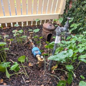 Check garden pipes