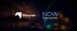 NOWPayments Runs Its Own TOKEN2049 Travel on Staynex, Opens Co-Branded Booker to 20,000+ Partners