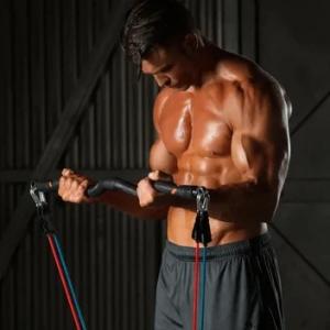 biceps excercises