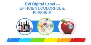 Premium Self Adhesive Sticker Leader