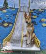 Off Leash K9 Training Portland Highlights Behavior Modification Support for Aggressive and Reactive Dogs