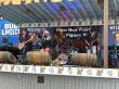 Whiskey Would Announces Midwest Touring Expansion and New Singles