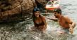 Tehya Travel Launches Dedicated Multigenerational and Family Journey Planning for Affluent Travelers