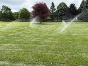 Great Outdoors, a full-service lawn and landscape company serving the Ann Arbor area since 1983, has added irrigation installation, maintenance, and repair to the services it delivers in-house for residential and commercial properties across Southeast Michigan In-ground sprinkler system watering a healthy green lawn at a property in Ann Arbor, MI