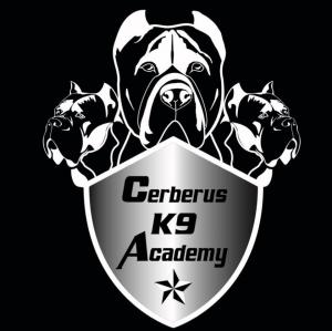 Cerberus K9 Academy is proud to announce that it has been awarded the 2026 Quality Business Award for The Best Dog Trainer in the City of Monash, VIC