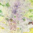 Acclaimed environmental artist Susan Swartz inspires contemplation through major exhibition at NIA Gallery in Prague