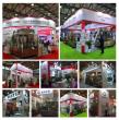 Automatic Cup Filling and Sealing Machine Factory from China GCPACK Showcases Smart Automation Solutions at ProPak Asia