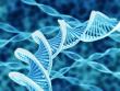 Pharma Companies Turn to Strategic CDMO Partnerships as Development Needs Evolve