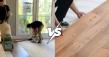 How to Tell If Hardwood Floors Need Refinishing or Replacement