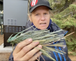 Tahoe Regional Planning Agency Takes Landmark Action to Curb Plastic Pollution From “Monopine” Cell Towers