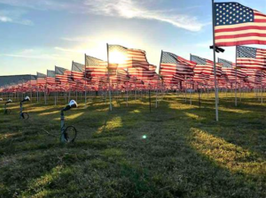 Healing Field®
