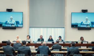 Geneva panel