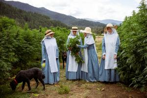 Sisters of the Valley, the California-based women’s collective known internationally as the ‘weed nuns’, say that the new federal hemp restrictions scheduled to take effect December 11 could eliminate every CBD product the Sisters currently sell — including the topical salve they have made for nearly twelve years four sisters with the cannabis plants, one is handing a bouquet to another