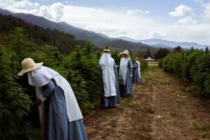 oregon farm work