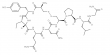 Oxytocin (OT): More Than a Labor-Inducing Hormone — Cloud-Clone ELISA Empowers Accurate Research-Grade Detection