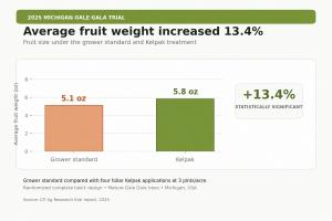 Fruit weight increase
