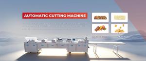 Fushida - Premium Full Range Food Machinery Manufacturer