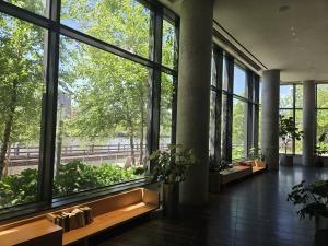 Glass Wall Partition