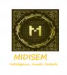 MIDISEM LAUNCHES IN THE USA — BRINGING HIGH-SPEED MEMORY & SSD PERFORMANCE TO THE NEXT GENERATION OF COMPUTING.