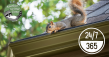 Another Critter Gone Announces Expanded 24/7 Animal Removal and Pest Control Services for Cincinnati Metro Area