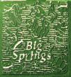 Big Springs Farm Goes All-In on Pickles for 2026 Fall Festival & Corn Maze