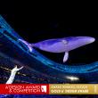 Zhou Shen 9.29Hz World Tour by B'in Live Wins Gold A' Design Award
