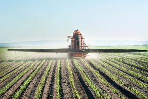 fertilizer