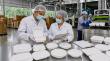 Disposable Sugarcane Bagasse Tableware Manufacturers in Southeast Asia: Key Production Countries and Factory Options