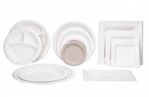 Bagasse Containers