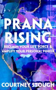 Author Courtney Stough challenges conventional ideas about burnout and healing in Prana Rising: Reclaim Your Life Force & Amplify Your Personal Power, a hybrid memoir and personal growth guide grounded in a universal message: pain does not have to be catastrophic to matter, and every person is worthy of healing Prana Rising by Courtney Stough