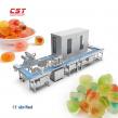 China Top Commercial Gummy Making Machine Solutions: LST Launches High-Yield Systems for Sweets and Snacks Expo