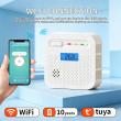 Advanced CO Detector Factory Analysis: How ARIZA Integrates Smart Microchips to Eliminate False Positives
