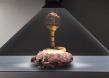 Virtual On Introduces New Display Solutions to Transform Museum Experiences