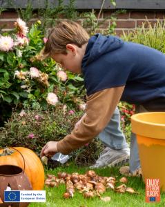 Fall Tips 3