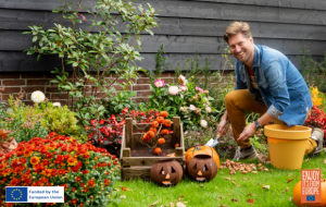 Fall Tips 4