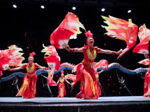 Photo 3 — Fire Phoenix