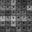Lexset.ai Releases Synthetic SAR Data for Public Testing Based on MSTAR Dataset