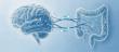 More Than the "Happy Molecule"! 5‑HT, Core Gut‑Brain Axis Neurotransmitter | Cloud‑Clone ELISA kit